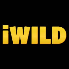 iWild kasyno logo